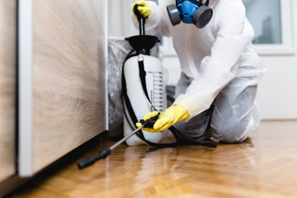  Weleetka, OK Pest Control Pros