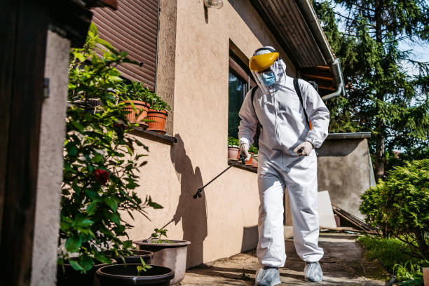 Best Affordable Pest Control Services  in Weleetka, OK