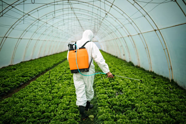 Reliable Weleetka, OK Pest Control Solutions