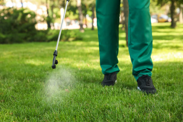 Best Residential Pest Control  in Weleetka, OK