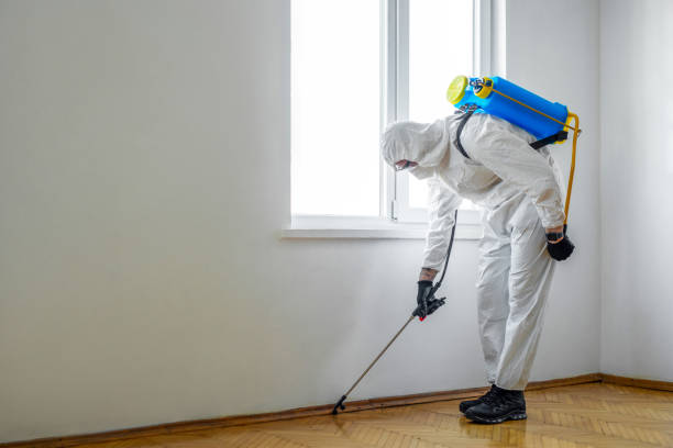 Best Emergency Pest Control  in Weleetka, OK