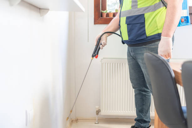 Best Pest Removal Services  in Weleetka, OK