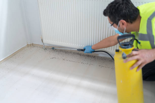 Best Commercial Pest Control Services  in Weleetka, OK